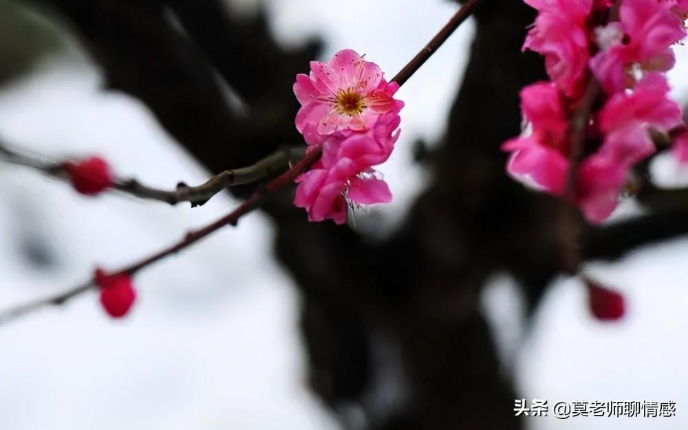 离婚后有挽回的吗（离婚后还有可能复婚的3种情况）